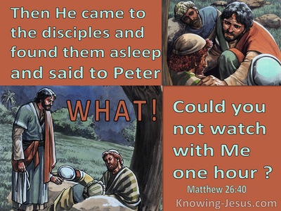 Matthew 26:40 They Were Asleep : Could You Not Watch With Me One Hour (brown)